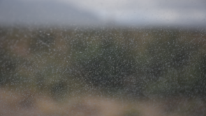 KILDARE WEATHER: Long dry spells with patchy drizzle
