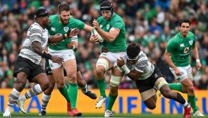 IN PICTURES: Ireland 35-17 Fiji