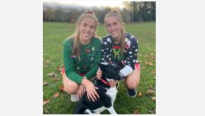 Dash, Dance or Prance for Aware in Kildare this Christmas