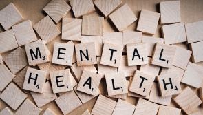 Kildare had high sign-up rates for mental health charity in 2022