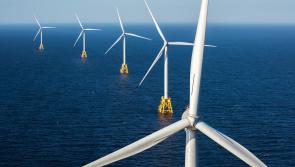 Danish companies to invest €4 billion to develop Irish offshore windfarm