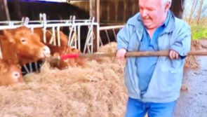 'We weren’t expected to live to middle age' - Ireland's youngest thalidomide survivor turns 60