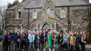 1,000 trees planted at Barretstown to celebrate ‘Sustainable Kildare’ initiative