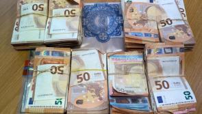 UPDATE: Woman arrested following €130,000 cash seizure in Kildare released without charge