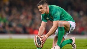 Sexton fit for Six Nations showdown against France among other Ireland injury updates