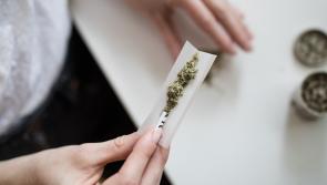 REVEALED: More than 20 people hospitalised every week for mental disorders due to cannabis use