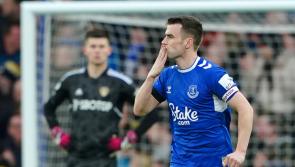 TWITTER REACTS: 'My captain' - Ireland's Seamus Coleman scores an incredible winner for Everton