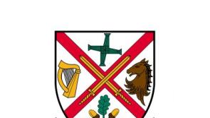 Kildare County Council releases notification of traffic diversion in North Kildare