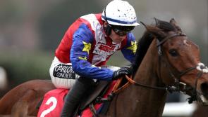 All systems go for Love Envoi raid on Punchestown