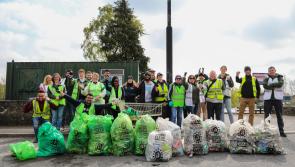 University in Kildare organises community clean-up of the Royal Canal and Maynooth Harbour