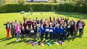 School in Naas, County Kildare, is crowned Ireland’s Walking School of the Year