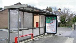 Clinics with National Transport Authority suggested by Kildare councillor