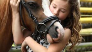 Animal welfare group to hold fashion show in well-known Kildare hotel