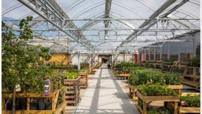 Craft & Farmers Markets Weekend at SOLAS: A Summer of Festivities