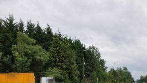 PHOTOS: Several driving offences detected by gardaí on Kildare-Wicklow border