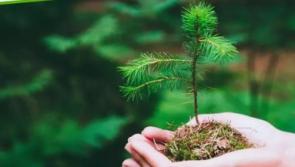 Kildare County Council launches Climate Innovation Fund for 2023