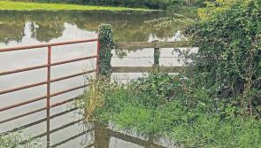 DART+ West may lead to more flooding, concerned Kildare resident claims