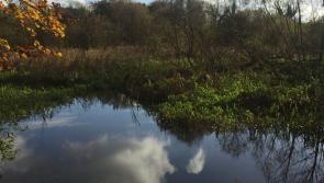 KILDARE: Park site has been closed to local residents for too long