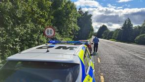 Motorist arrested by Kildare gardaí on suspicion of drug-driving on the Kilcullen Road