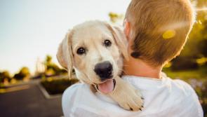 Dogs Trust invites dog lovers in County Kildare to honour their beloved late pets