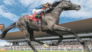 Racing: Stars all set for  Champions Festival