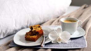 Bed and Breakfast proposed for site located near Newbridge and Kildare town