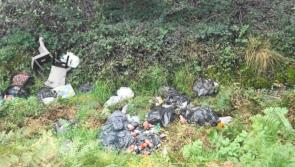 NEWS BRIEF: Kildare County Council cleans up 3.5 tonnes of litter in Kildoon