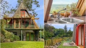IN PICTURES: Unique 'treehouse' in Irish countryside hits market for €435,000
