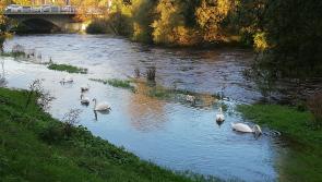 PHOTOS: Flooding hits Liffey Linear Park in Newbridge, County Kildare