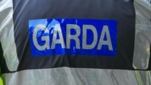 Vehicle stolen from property in Monasterevin, County Kildare