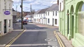 BREAKING: Kildare gardaí launch witness appeal following alleged assault incident at Basin Street in Naas