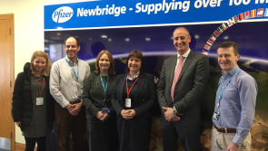 Kildare Senator: Other companies may be able to take on staff from Pfizer's Newbridge branch