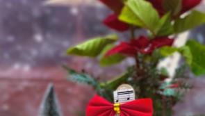 Christmas music event with Ladies Choir and guests to take place on Main Street of Naas, County Kildare