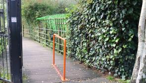 TEMPORARY CLOSURE: Boardwalk repairs to take place at Liffey Linear Park in Newbridge, County Kildare