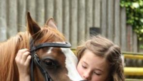 Equestrian Centre in County Kildare may become a warehouse depot