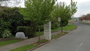 Gardaí in Newbridge, County Kildare, investigating car theft in estate