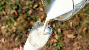 ALERT: Non-vegan ingredient undeclared on packaging of popular plant-based milk