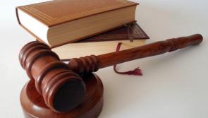 Man living on Kildare-Dublin border who sexually assaulted concert-goer at Marlay Park given suspended sentence