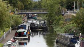 KILDARE: New bridge should be named after St Brigid