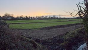 BREAKING KILDARE NEWS: First  of up to 950 Ukrainian refugees due at site near Naas 'in weeks'
