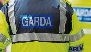 Busy M6 motorway reopens after crash left little girl (6) injured in Westmeath
