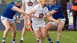 Kildare hurlers show signs of promise, but come up short against Laois