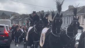 WATCH: 'True gentleman' Mixie gets big send off with horse-drawn procession to Kildare