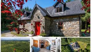 PICTURES: Stunning 'secret' cottage hidden away in middle of Irish forest on sale for €210k