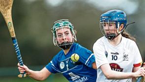 Kildare claim Leinster 'B' Camogie Championship with extra-time win