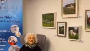 NEWS BRIEF: Kildare arts group displaying beautiful paintings in Newbridge Business Centre