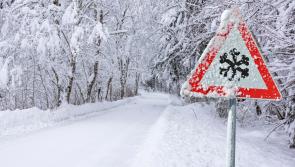 SNOW TRACKER: County by county snow map as Ireland braces for Met Éireann cold blast
