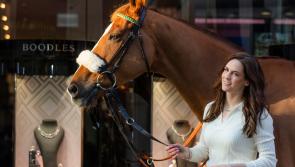 Kildare racing: Boodles to sponsor €300,000 Grade 1 Champion Hurdle at Punchestown