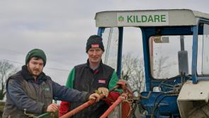 PICTURES: Great turnout as Kildare Ploughing Association host Ploughing match
