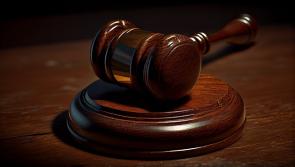 COURTS: Kildare resident gets suspended sentence for careless driving causing death of tourist